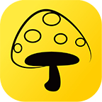 蘑菇丁周记app