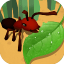 蚂蚁3d进化最新版