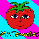 番茄先生无限玩版