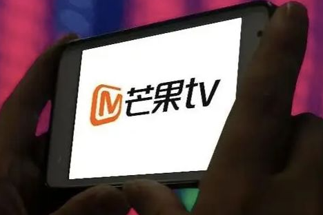 芒果tv可以几个手机登录